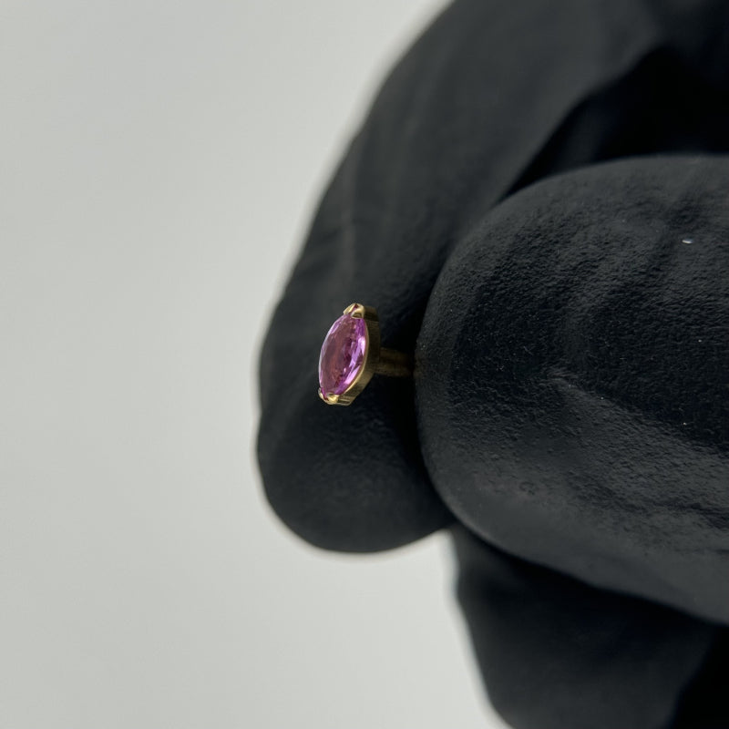 Marquise Labret
