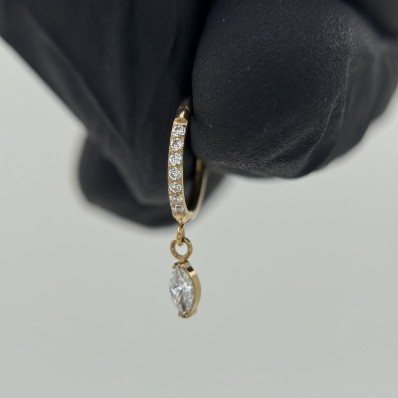 MarSeg