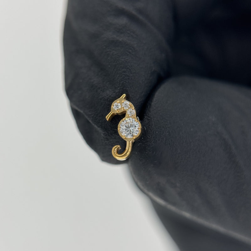 Sea Horse Top