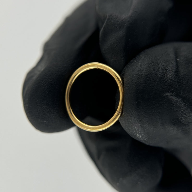 Segment Ring